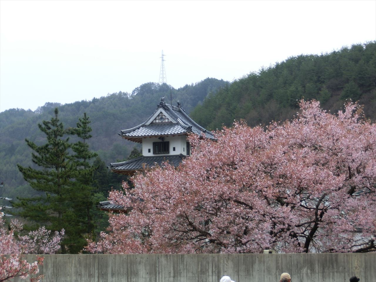 ���쌧�@�����隬�����ƍ�