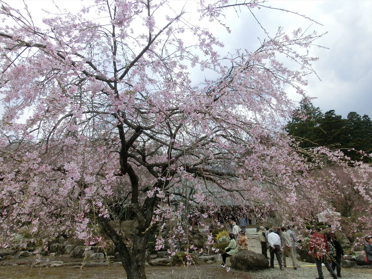 ���쌧�@���O���뉀�ƍ�