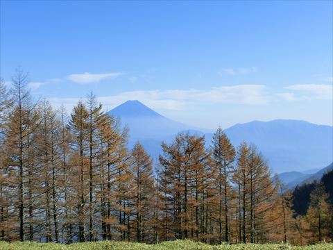 2011年甘利山